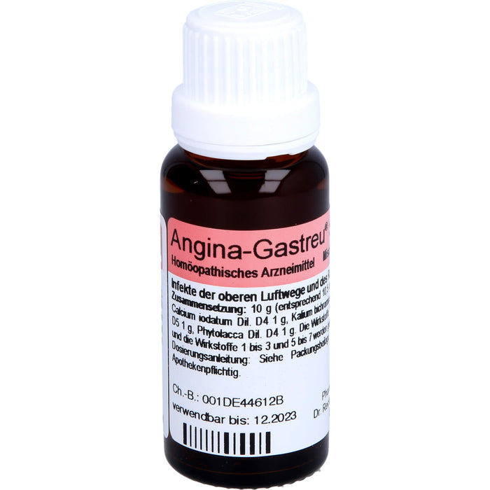 Dr.Reckeweg Angina-Gastreu S R1 Mischung bei Infekten der oberen Luftwege und des Rachenraumes, 22 ml Mélange