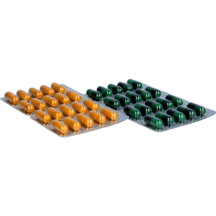 flexiLoges Knorpel aktiv, 240 pc Capsules