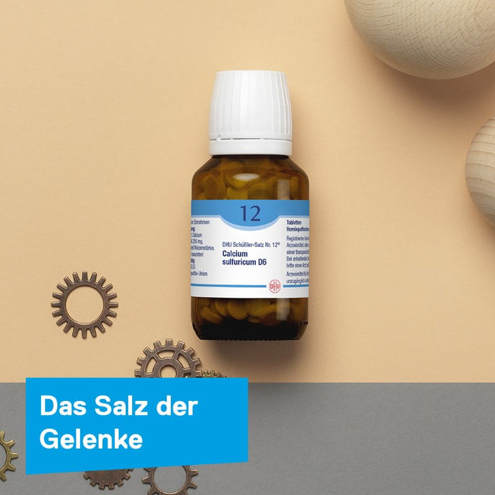 DHU Schüßler-Salz Nr. 12 Calcium sulfuricum D6, 200 St. Tabletten