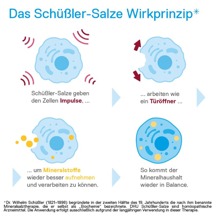 DHU Schüßler-Salz Nr. 12 Calcium sulfuricum D6, 420 St. Tabletten