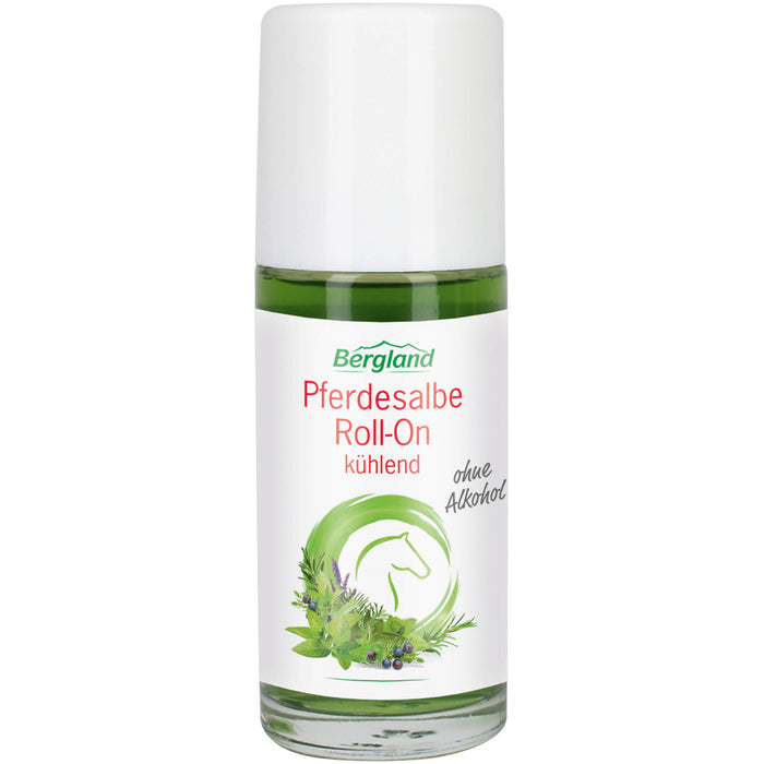 Bergland Pferdesalbe Roll-On kühlend, 50 ml Stift