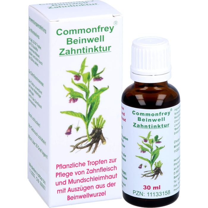Commonfrey Beinwell Zahntinktur zur Pflege von Zahnfleisch und Mundschleimhaut, 30 ml Solution