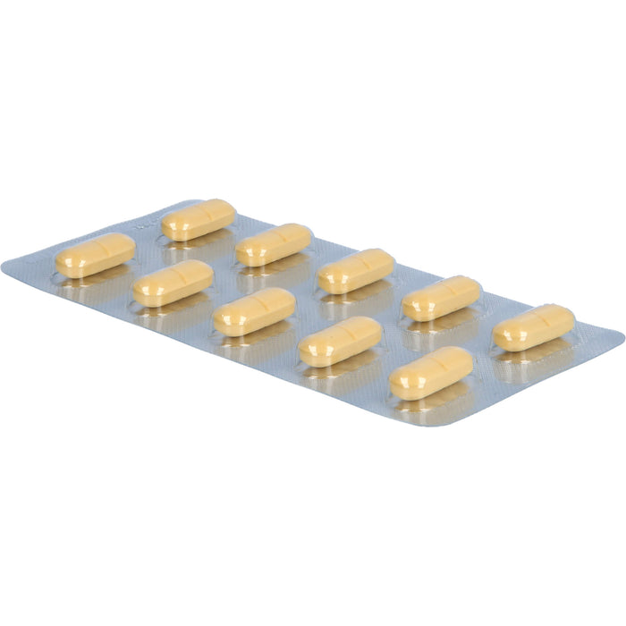 Ginkgo AL 240 mg Filmtabletten bei altersbedingten Gedächtniseinbußen mit leichter Demenz, 120 pc Tablettes
