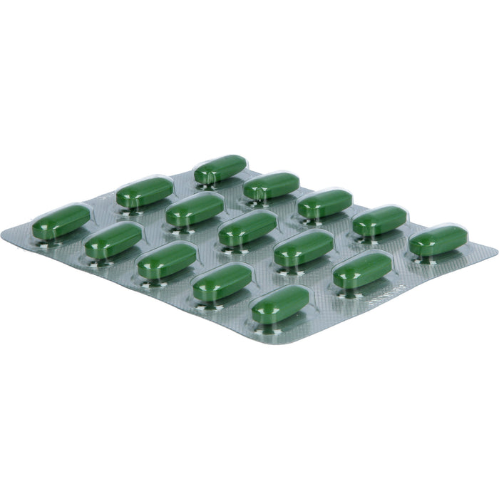 Remisens Tabletten bei nachlassendem sexuellen Verlangen, 90 pc Tablettes