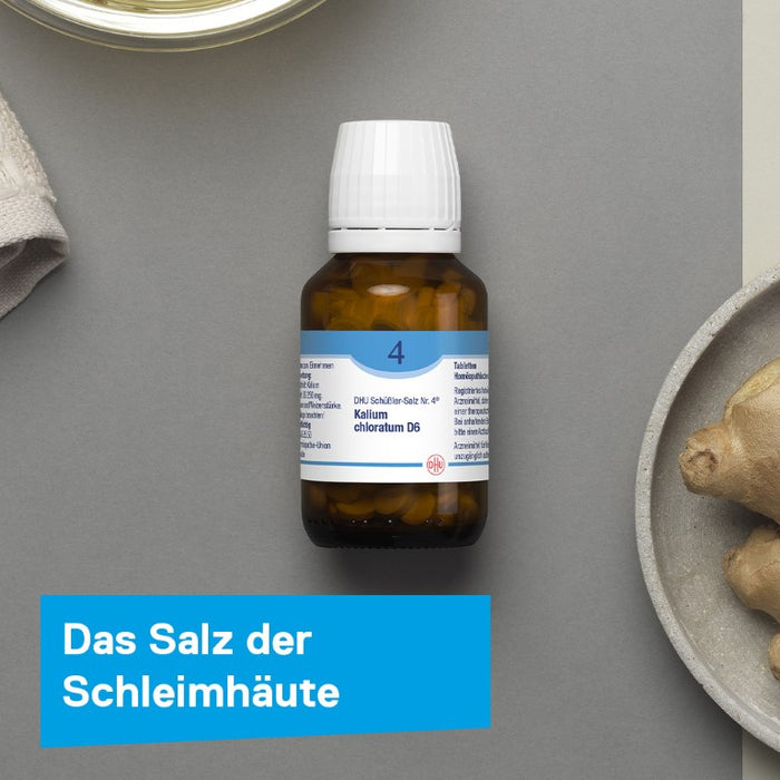DHU Schüßler-Salz Nr. 4 Kalium chloratum D6, 200 pcs. Tablets