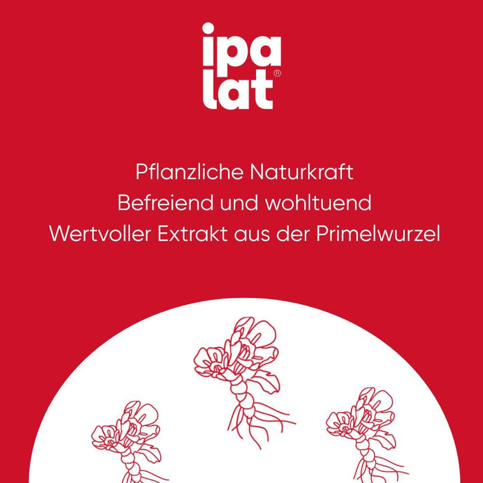 ipalat Die Halspastille Zuckerfrei, 40 pcs. Pastilles