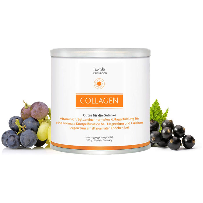 PlantaVis Collagen Pulver gutes für die Gelenke, 300 g Pulver