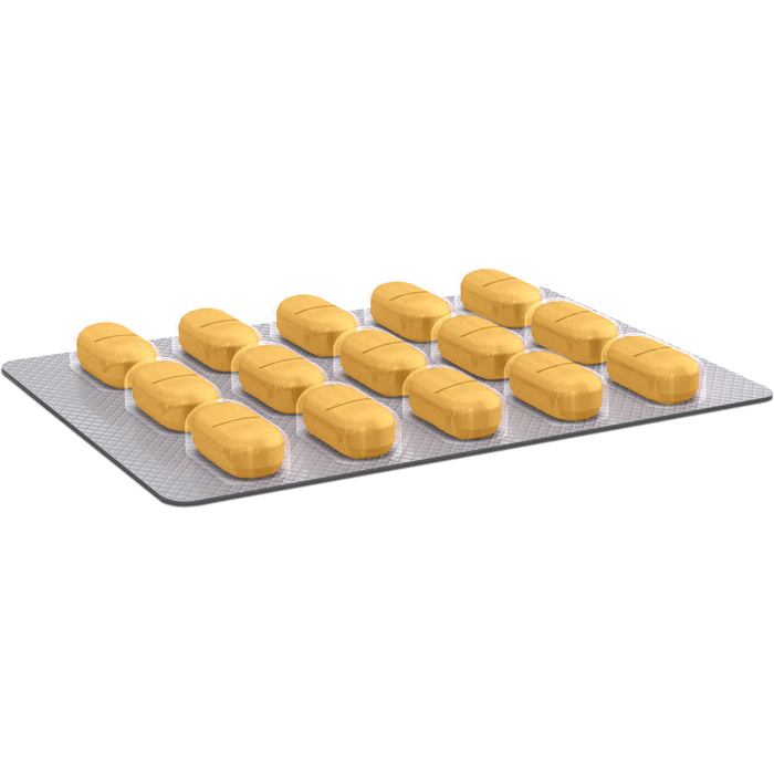 Gingium 240 mg Filmtabletten, 40 pcs. Tablets