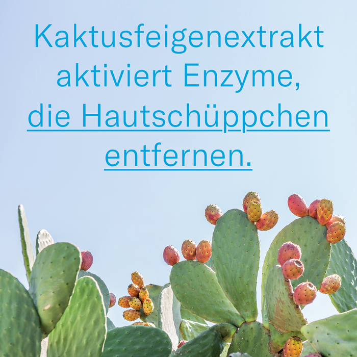 LETI balm Körperbalsam - Feuchtigkeitsspendende Körperpflege bei sehr trockener oder rauer Haut, 75 ml Cream