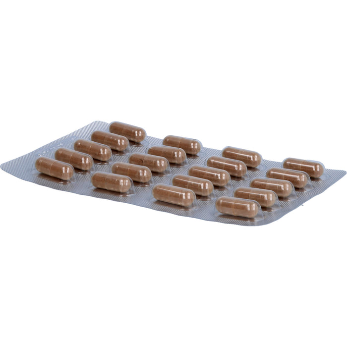 BjökoVit Vitamin K2 MK-7 all-trans vegan Kapseln, 60 pcs. Capsules