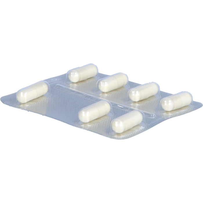 Innovall Microbiotic RDS mit dem spezifischen Bakterienstamm Lactobacillus plantarum, 84 pc Capsules