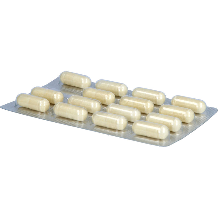 Chondro MensSana®, 90 St KMR
