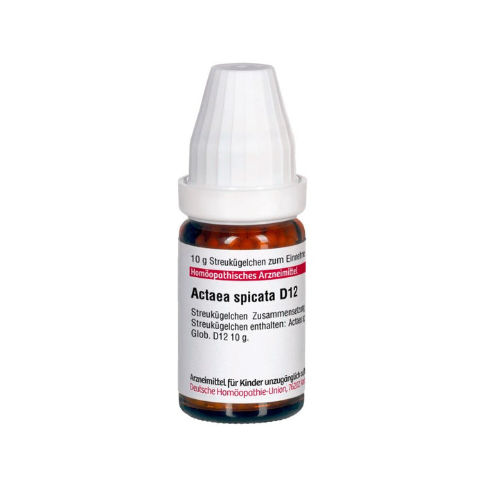DHU Actaea spicata D12 Globuli, 10 g Globules