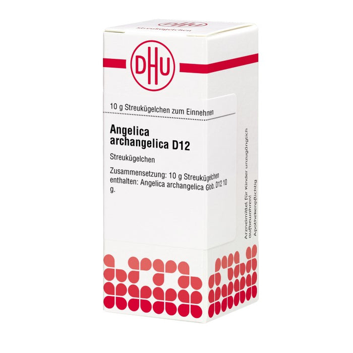 DHU Angelica archangelica D12 Globuli, 10 g Globuli