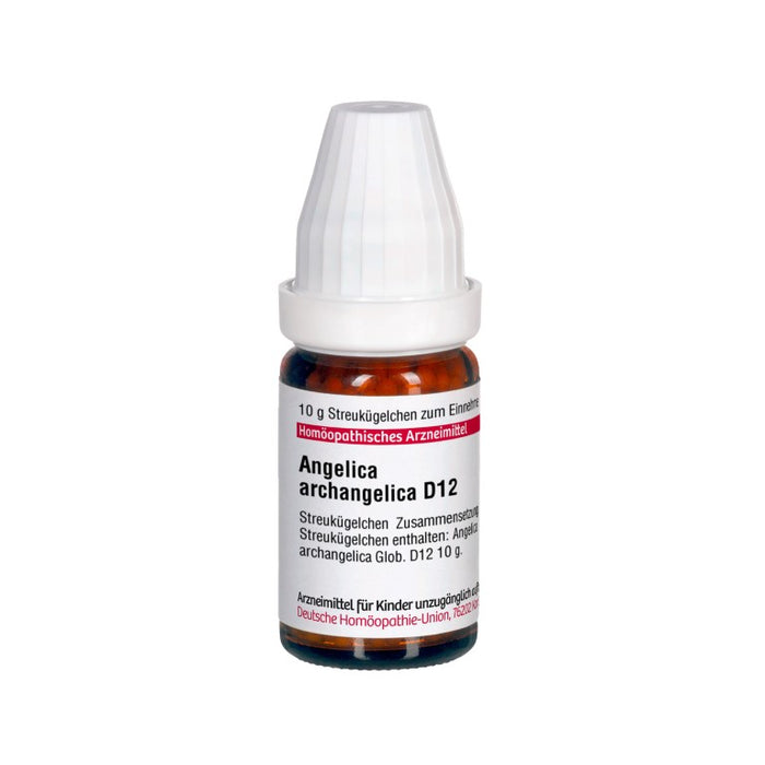 DHU Angelica archangelica D12 Globuli, 10 g Globuli
