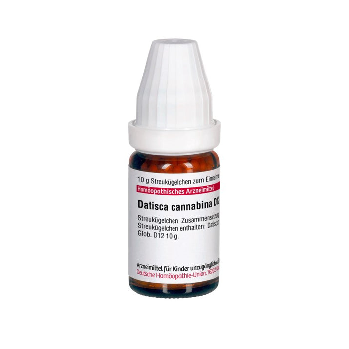 DHU Datisca cannabina D12 Globuli, 10 g Globuli