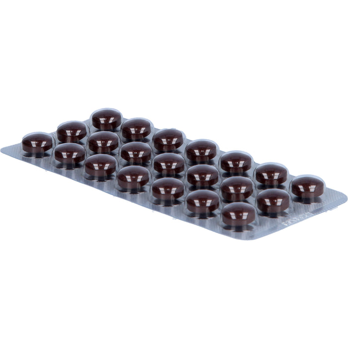 Salus Kräuterblut Floradix Tabletten mit Eisen und Folsäure für Energie und Leistungsfähigkeit, 84 pcs. Tablets