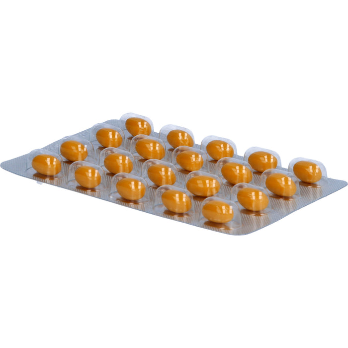 FOKUS IQ QUIRIS Kapseln zur Unterstützung von Gehirnfunktion, geistiger Leistung und kognitiver Funktion, 120 pcs. Capsules
