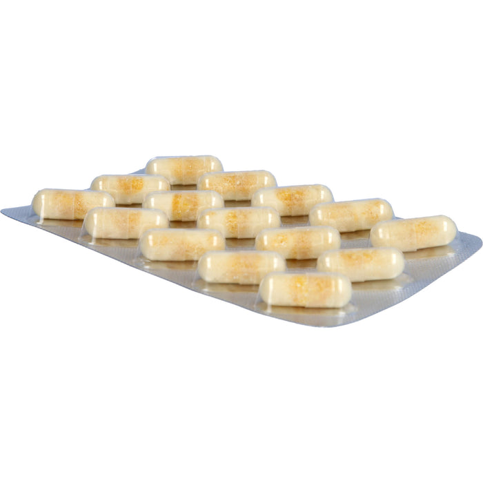 Aminoplus Haarkomplex Kapseln, 60 St. Kapseln