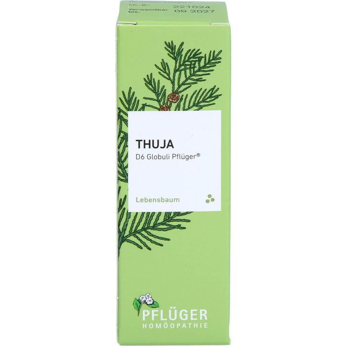 Pflüger Thuja D6 Globuli Dosierspender, 10 g Globuli