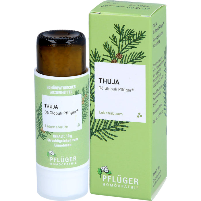 Pflüger Thuja D6 Globuli Dosierspender, 10 g Globules