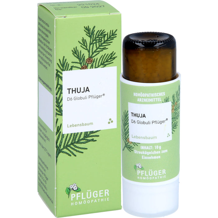 Pflüger Thuja D6 Globuli Dosierspender, 10 g Globules