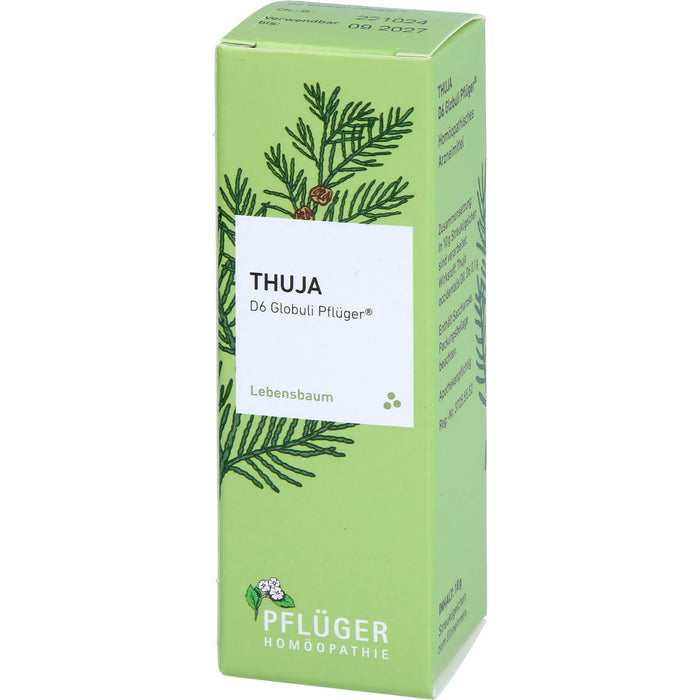 Pflüger Thuja D6 Globuli Dosierspender, 10 g Globules
