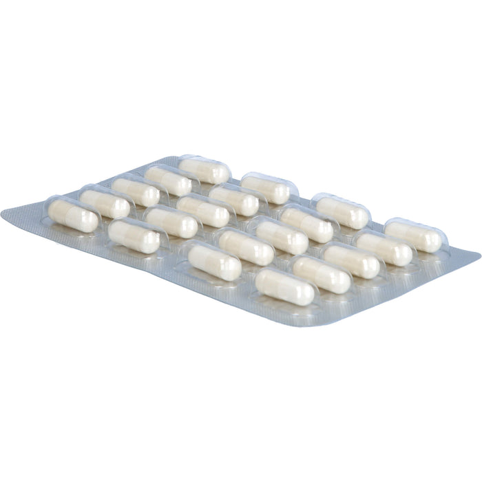 GELENCIUM Glucosamin Chondroitin Kapseln hochdosiert mit Vitamin C, 120 pcs. Capsules