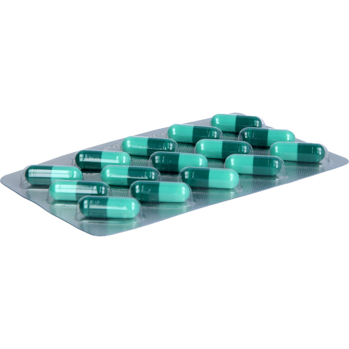 GALL PHARMA Yamswurzel + DHEA Kapseln zur Unterstützung eines ausgewogenen Hormonhaushalts, 60 pc Capsules