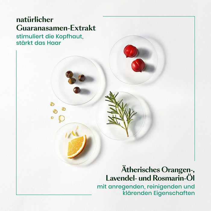 René Furterer Forticea Vitalisierendes Shampoo, 600 ml Shampoing