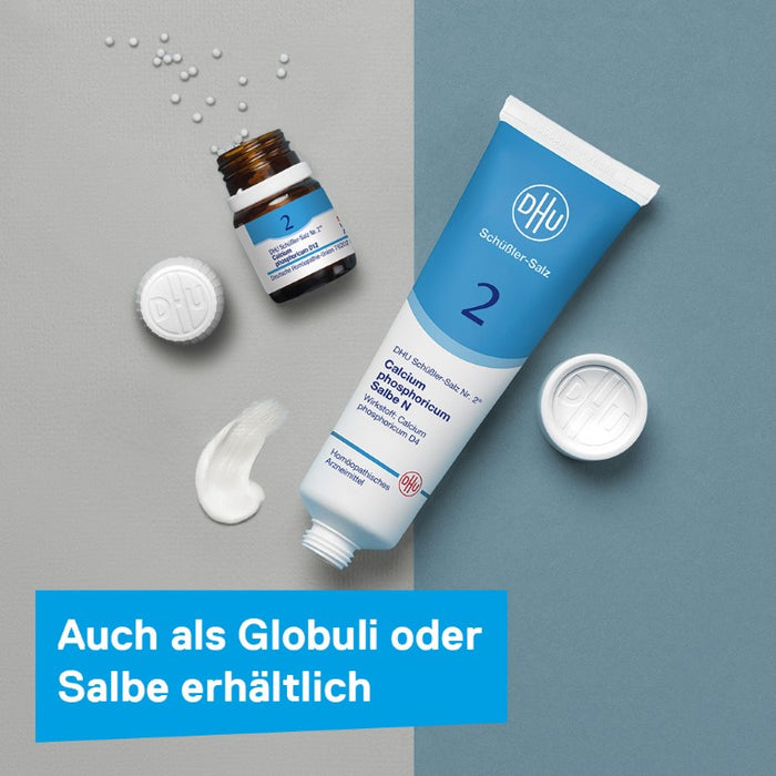 DHU Schüßler-Salz Nr. 2 Calcium phosphoricum D12, 200 pcs. Tablets