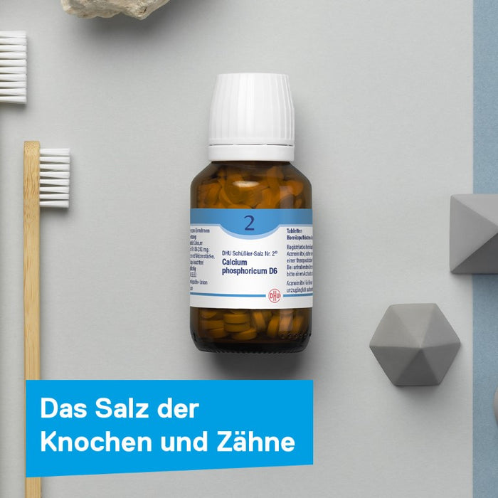 DHU Schüßler-Salz Nr. 2 Calcium phosphoricum D12, 200 pcs. Tablets