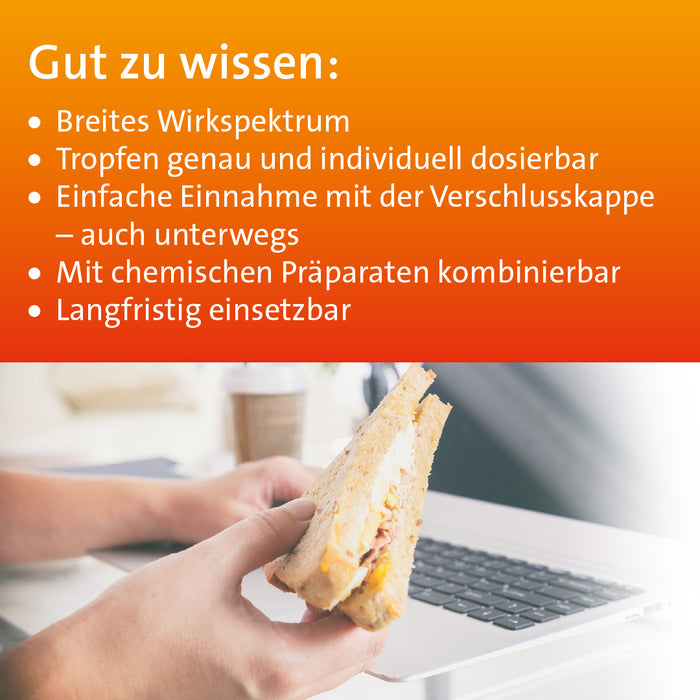 Digesto Hevert injekt Lösung, 10 pc Ampoules