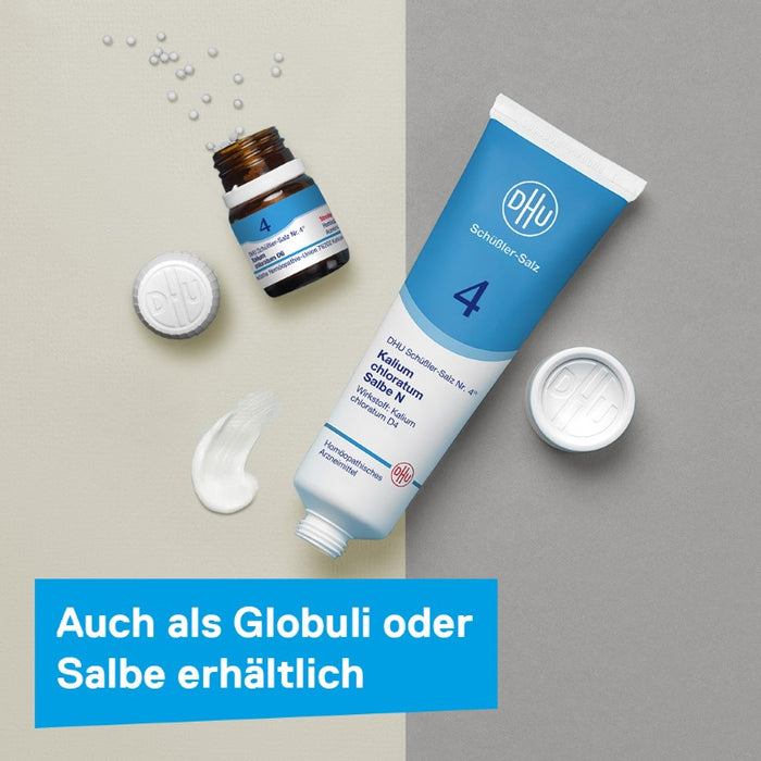 DHU Schüßler-Salz Nr. 4 Kalium chloratum D6, 200 pcs. Tablets