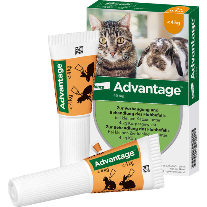 advantage 40 mg zur Vorbeugung und Behandlung des Flohbefalls bei Katzen und Zierkaninchen bis 4 kg, 4 St. Einzeldosisbehältnisse