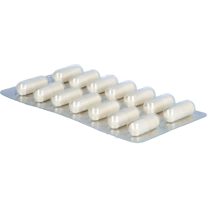 N1 Appetitzügler Kapseln Forte bei starkem Übergewicht, 42 pc Capsules