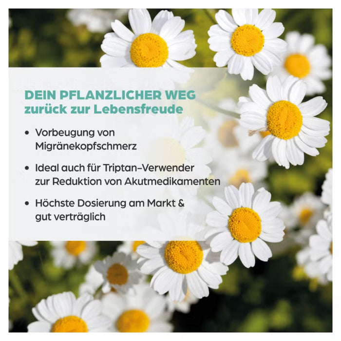 Dr. Böhm Mutterkraut Apomedica 200 mg, 60 St. Tabletten