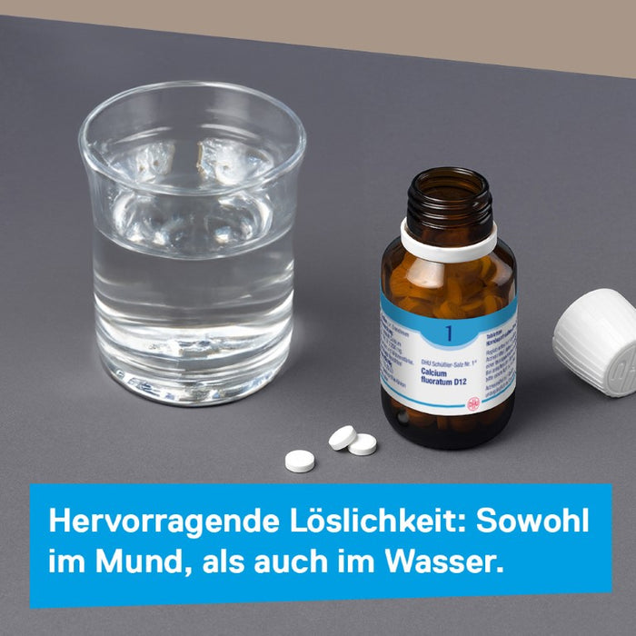 DHU Schüßler-Salz Nr. 1 Calcium fluoratum D12, 900 St. Tabletten