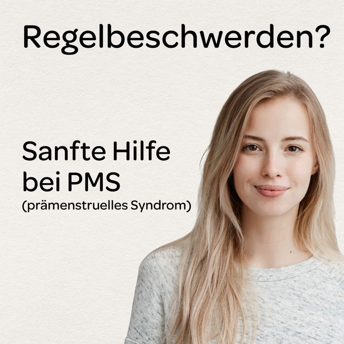 Dr. Böhm Mönchspfeffer 4 mg, 60 pc Tablettes