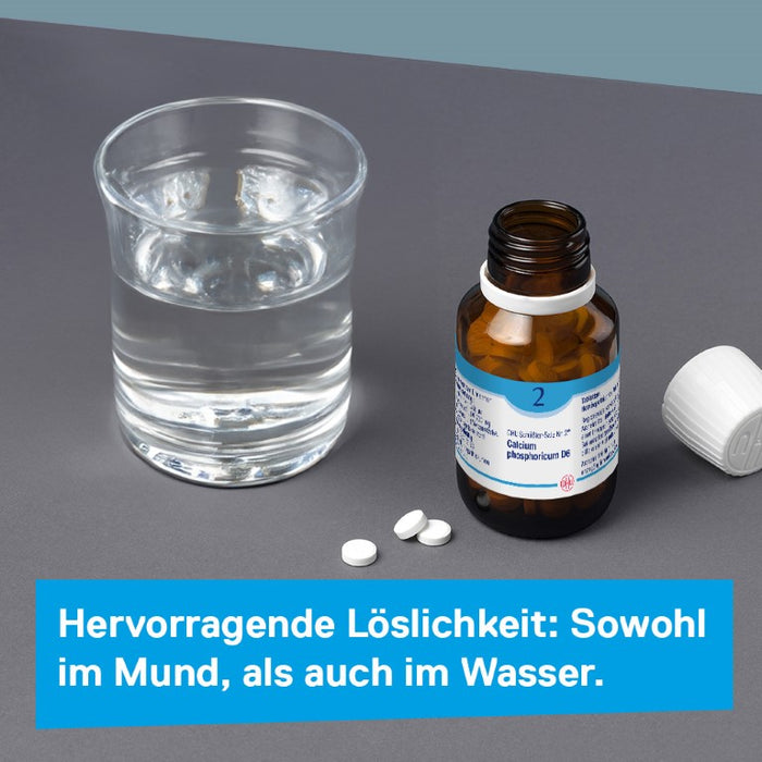 DHU Schüßler-Salz Nr. 2 Calcium phosphoricum D6, 200 pcs. Tablets