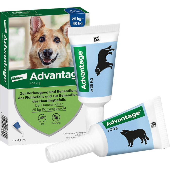 Elanco Advantage 400 bei Hunden 25 kg - 40 kg Lösung zur Vorbeugung und Behandlung des Floh- und Haarlingsbefalls, 4 pcs. Ampoules
