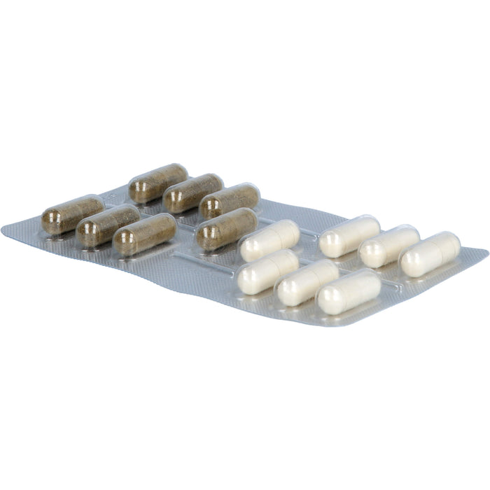 IberoBiotics Zen Kapseln für ein gutes Bauchgefühl in stressigen Zeiten, 14 pcs. Daily portions