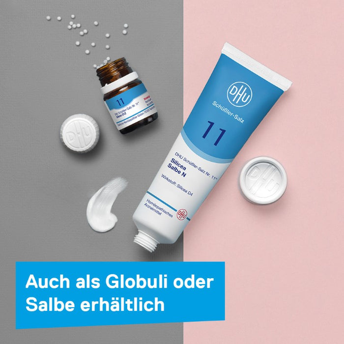 DHU Schüßler-Salz Nr. 11 Silicea D12, 200 pcs. Tablets