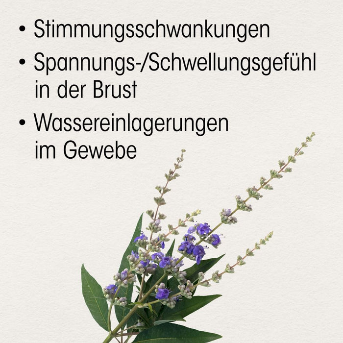Dr. Böhm Mönchspfeffer 4 mg, 60 pc Tablettes