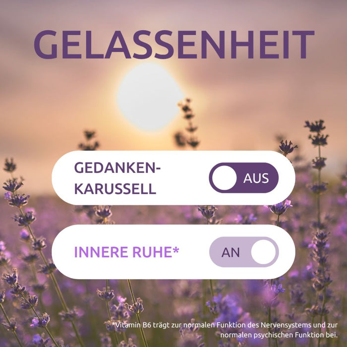 DR.THEISS Innere Ruhe Tabletten trägt zur normalen Funktion des Nervensystems bei, 30 pcs. Tablets