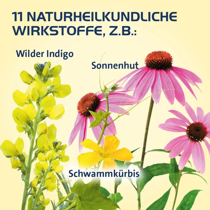 Sinusitis Hevert bei Schnupfen und Entzündungen der Nasennebenhöhlen, 300 pc Tablettes