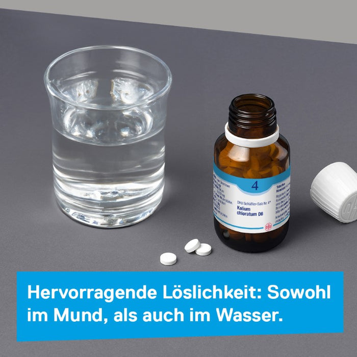 DHU Schüßler-Salz Nr. 4 Kalium chloratum D6, 200 pcs. Tablets