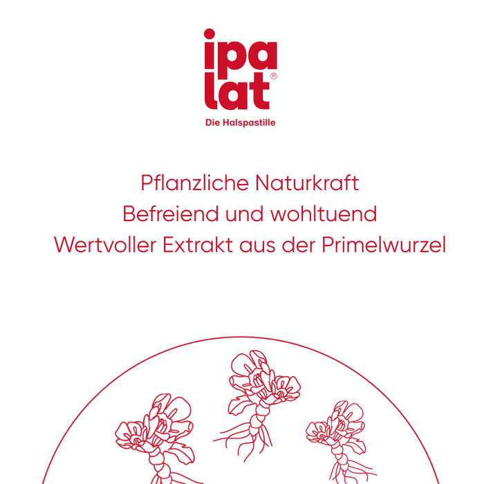 Ipalat Honigmild O Ment Zf, 400 St PAS