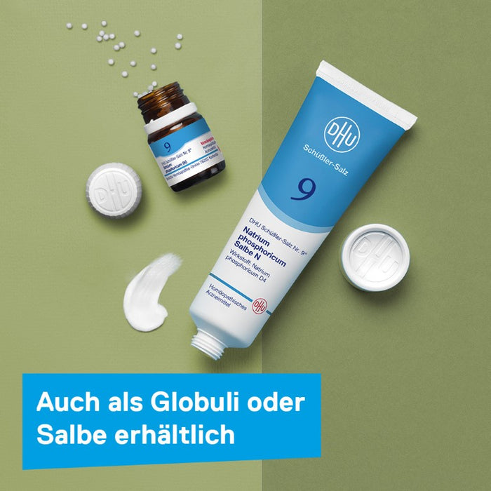 DHU Schüßler-Salz Nr. 9 Natrium phosphoricum D6, 200 pc Tablettes