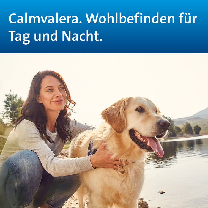Calmvalera Tabletten bei nervösen Störungen wie Schlafstörungen und Unruhe, 100 pc Tablettes